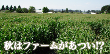秋はファームがあつい!?