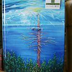 Receptive Earth
