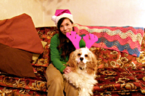 犬もクリスマスの準備OK