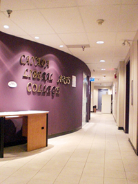 Canada Liberal Arts College