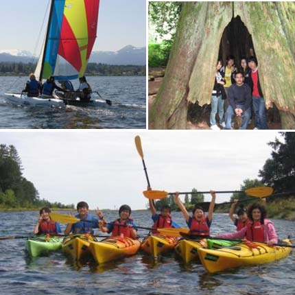 Comox Valley International College