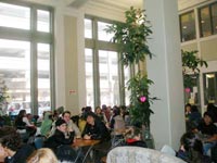 Western Town College