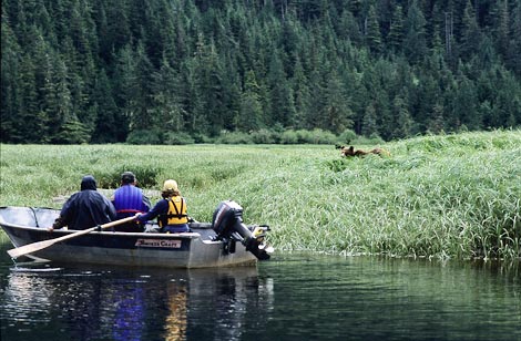 Great Bear Nature Tours