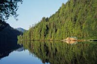 Great Bear Nature Tours