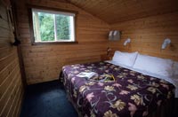 Great Bear Nature Tours