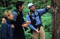 Great Bear Nature Tours