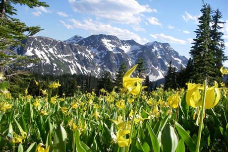 Wells Gray Provincial Park