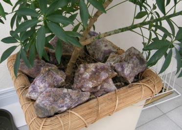 カナダを駆けぬけて－その8