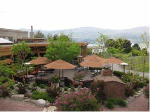 Okanagan～ワイナリーをめぐる旅