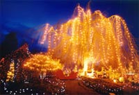 Festival of Lights