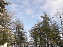 美しく寒いオンタリオの１２月