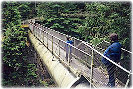 山道にかかったつり橋