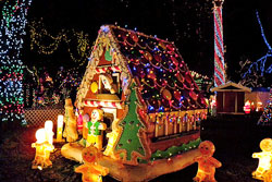 Bright Nights in Stanley Park（ブライトナイツ・イン・スタンレーパーク）