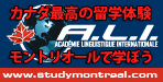 Academie Linguistique Internationale