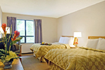 Comfort Inn West
