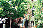 House on McGill B&B