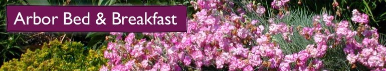 Arbor Bed and Breakfast