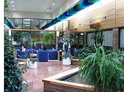 Northern Lights College