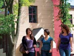 University of Prince Edward Island