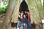 Comox Valley International College