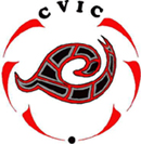 Comox Valley International College