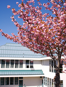 Cowichan Valley International Student Program