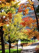 Queen's University School of English 