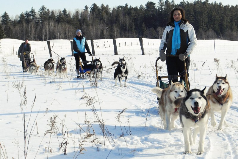 River Echo Language School