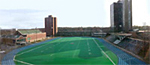 Saint Mary's University