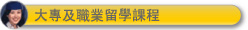 大專及職業留學課程